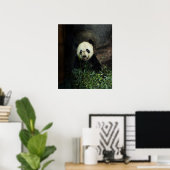 Poster Panda / Imprimer (Bureau à domicile)