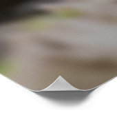 Poster Panda Lunch (Coin)