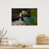 Poster Panda Lunch (Cuisine)