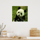 Poster Panda - Posters Panda Imprimés (Cuisine)
