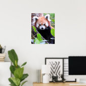Poster Panda rouge (Bureau à domicile)