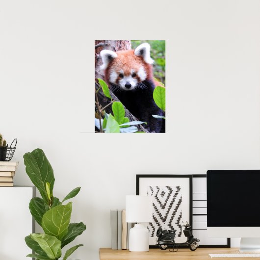 Poster Panda rouge (Bureau à domicile)