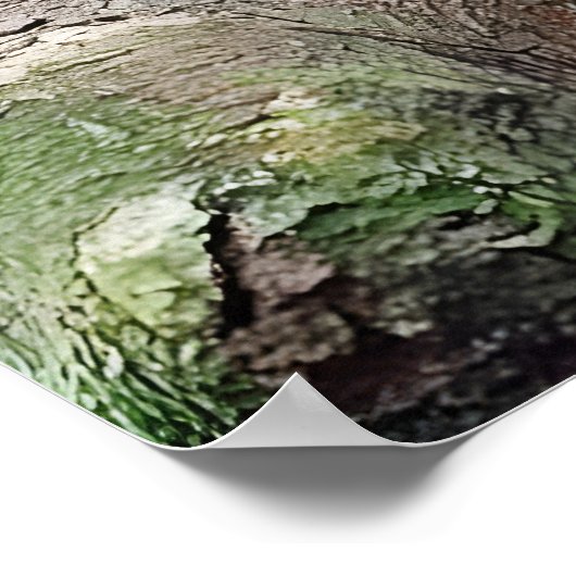 Poster Panda rouge (Coin)