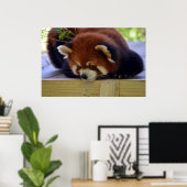 Poster Panda rouge (Bureau à domicile)