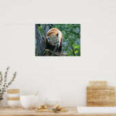 Poster Panda rouge (Cuisine)