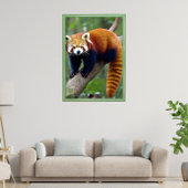 Poster Panda rouge