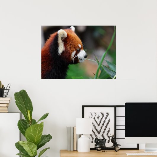 Poster Panda rouge (Bureau à domicile)