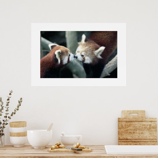 Poster Panda rouge #1 (Cuisine)