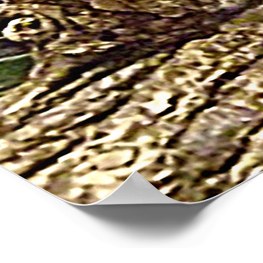 Poster Panda rouge dormant mignon avec nourriture dans sa (Coin)