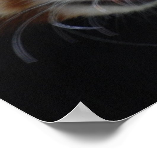 Poster Panda rouge doux (Coin)