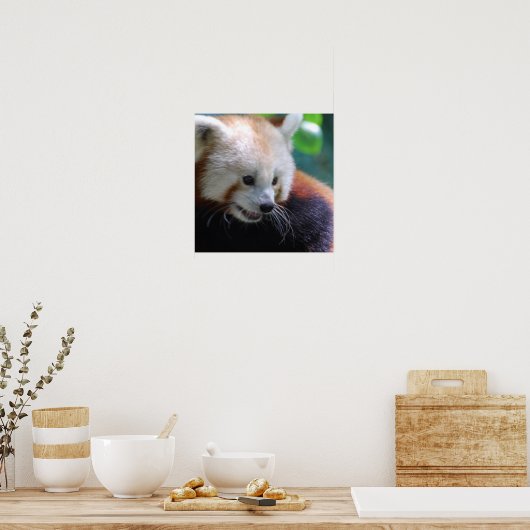 Poster Panda rouge doux (Cuisine)