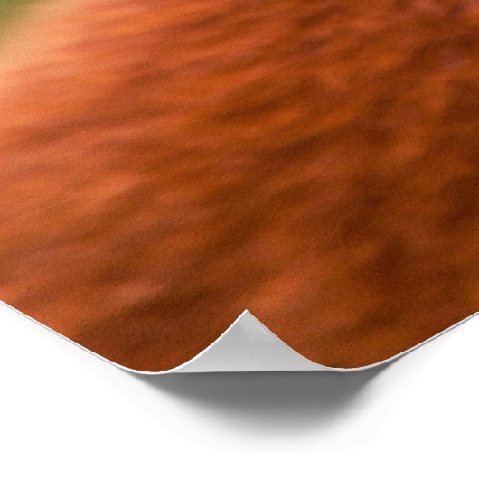 Poster Panda rouge mignonne (Coin)