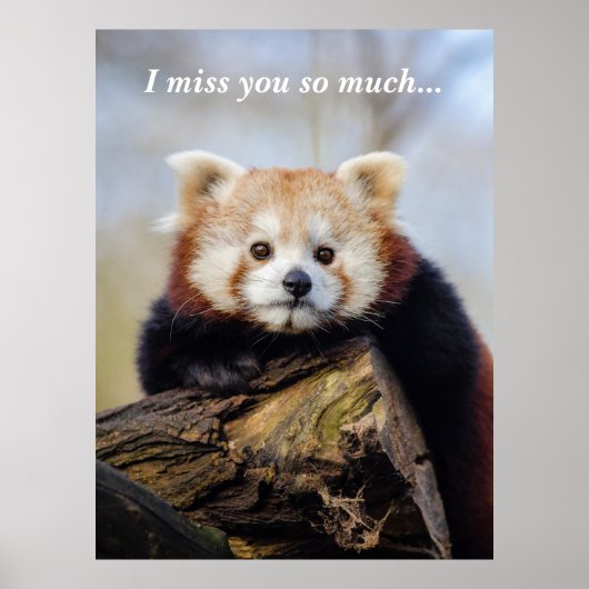 Poster Panda Rouge Mignonne Vous Manque Tellement (Devant)