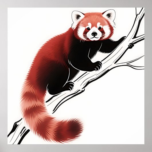Poster Panda roux perché sur une branche (Devant)