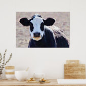 Poster Panda Visage Sweet Vache Art Photographie (Cuisine)