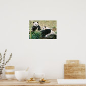 Poster Pandas (3) (Cuisine)