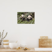 Poster Pandas Mangeant du bambou ! (Cuisine)