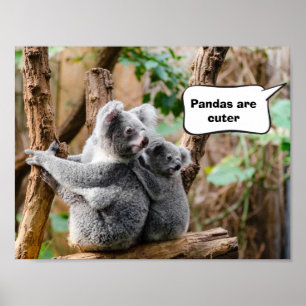 Poster Pandas ou Koalas - Qui sont plus mignons ?