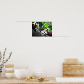 Poster Pandas rouges (Cuisine)