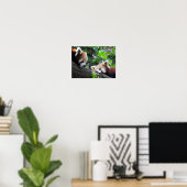 Poster Pandas rouges (Bureau à domicile)