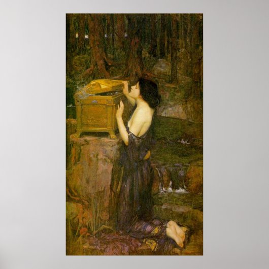 Poster Pandora (Devant)