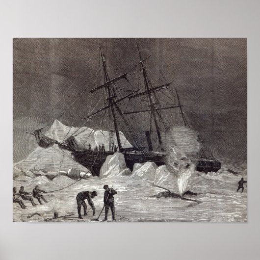 Poster Pandora est trempée dans la glace (Devant)