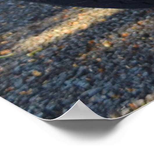 Poster Panhard Dyna de 1953 approx. (Coin)