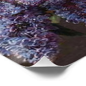 Poster Panier à fleurs Peony Lilac Belle Art Jardin class (Coin)