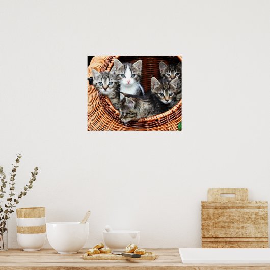 Poster Panier de chaton (Cuisine)