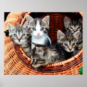 Poster Panier de chaton (Devant)