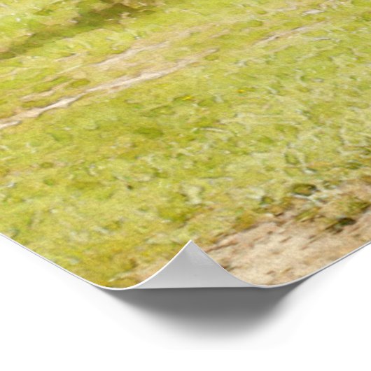 Poster Panier de golf de disque 7 (Coin)