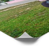 Poster Panier de golf rose aux Bahamas (Coin)