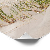 Poster Panier de plage 337 (Coin)