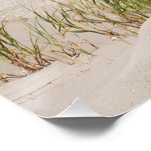 Poster Panier de plage 337 (Coin)