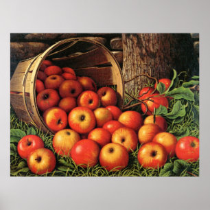 Poster Panier de pommes, peinture d'art,