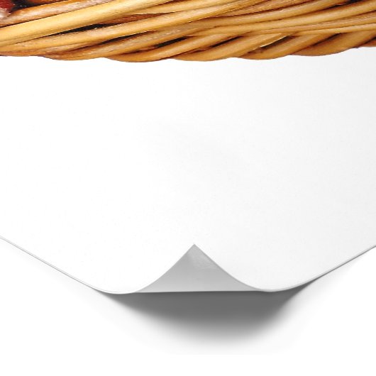 Poster Panier de poulet frit (Coin)