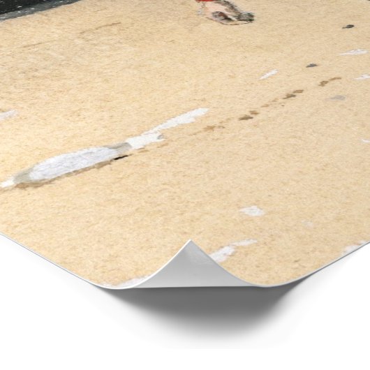 Poster Panier des Clams II (Coin)