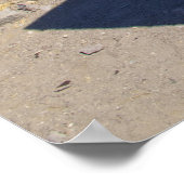 Poster Panier d'exploitation (Coin)