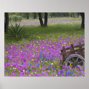 Poster Panier en bois dans le champ de Phlox, Bonnets Ble