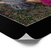 Poster Panier en fils (Coin)