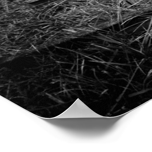 Poster Panier or (Coin)