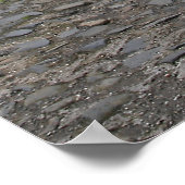 Poster Panier suspendu (Coin)