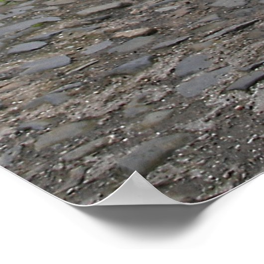 Poster Panier suspendu (Coin)