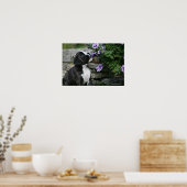 Poster Panne de chien de boîte (Cuisine)