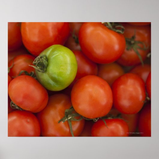 Poster Panneau à vendre de tomates rouges et vertes (Devant)