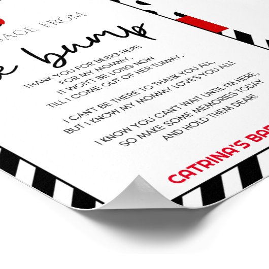 Poster Panneau Baby shower Ladybug (Coin)