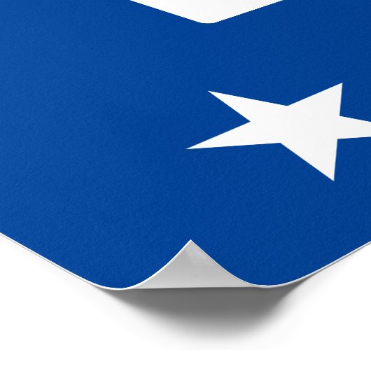 Poster Panneau bleu Vote (Coin)