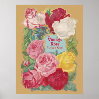 Poster Panneau Boutique Vintage Rose