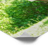 Poster Panneau d'avertissement Poisonwood Tree (Coin)