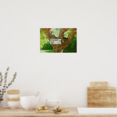 Poster Panneau d'avertissement Poisonwood Tree (Cuisine)